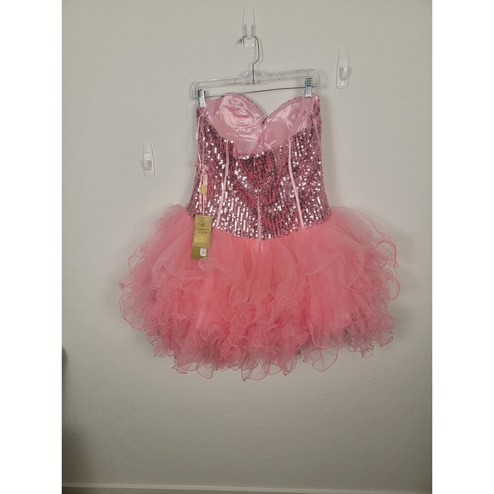 Aspeed Pink PrincessCore FairyCore Corset Tutu Dress Tulle Size 2X - Picture 8 of 16